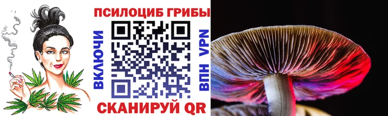 Галлюциногенные грибы Cubensis Луховицы